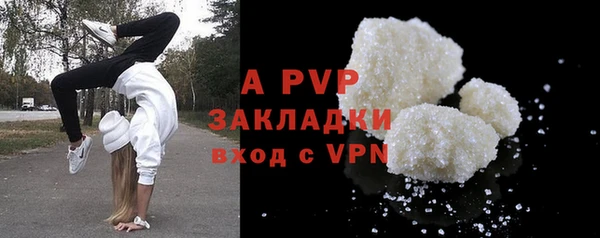прущие грибы Балабаново