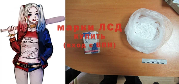 прущие грибы Балабаново