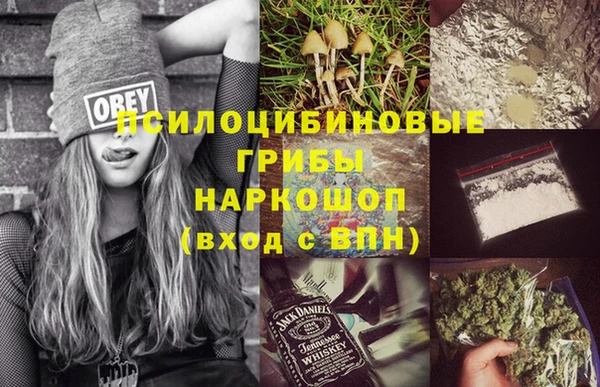 прущие грибы Балахна