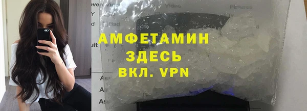 прущие грибы Балабаново