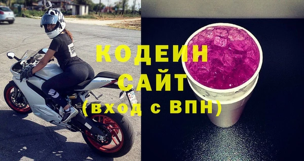 прущие грибы Балахна