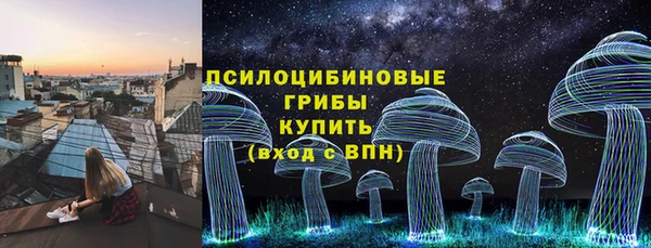 прущие грибы Балахна