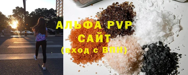 прущие грибы Балахна