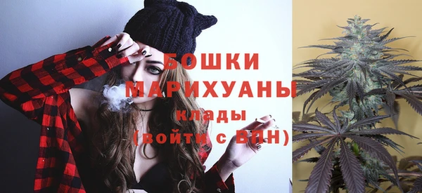прущие грибы Балахна
