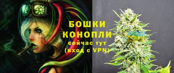 прущие грибы Балабаново