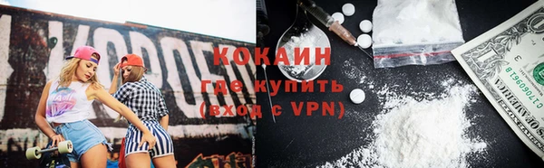 прущие грибы Балахна