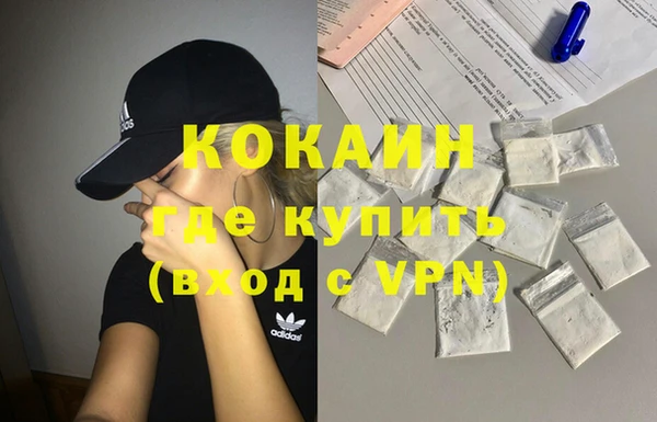 прущие грибы Балабаново