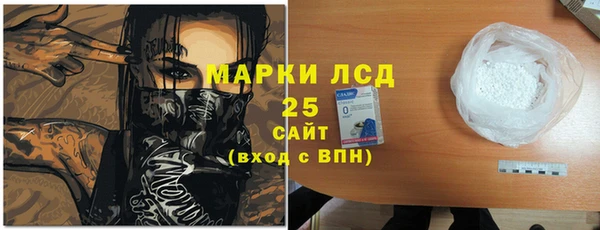 прущие грибы Балахна