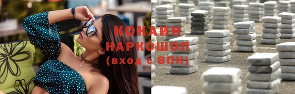 прущие грибы Балахна