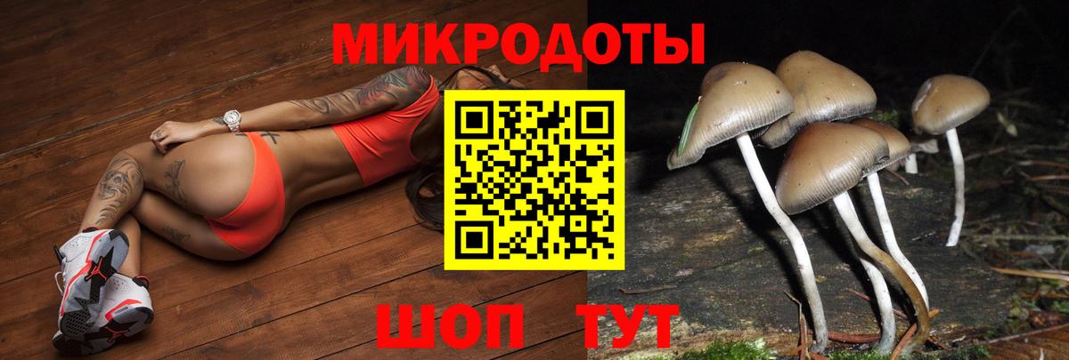 Печора  Псилоцибиновые грибы мицелий  Вход с VPN 
